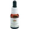 Black Eyed Susan Gocce 15 Ml ml