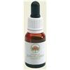 Mint Bush Gocce 15 Ml ml orali