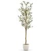 MAIA SHOP Olivo artificiale 210 cm Minimal, pianta finta grande da interno con tronco naturale, albero decorativo realistico per casa ufficio hotel