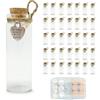 LOYONAL Piccole Boccette Vetro - 35 Pezzi 20ml Mini Bottiglie - Bottigliette Di Vetro Con Tappo Di Sughero