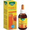 ESI - Propolaid Estratto Puro, Integratore Alimentare di Propolis, Supporta il Normale Funzionamento del Sistema Immunitario, Contrasta Sintomi da Raffreddamento, Senza Glutine e Vegetariano, 50 ml