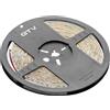GTV Striscia LED 5 m Flash 2835 MW, 600 LED 120 m, dimmerabile, impermeabile IP65, 7,3 W/m, 12 V DC, 8 mm di larghezza, ogni 5 cm divisibile, striscia luminosa per mobili cucina, bianco neutro 4000 K