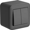 Electraline 60481 contenitore da superficie con doppio interruttore/deviatore FIXA, 10A, nero, IP40, compatibile per installazione con tubo rigido e canalina