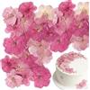 Floruvia 40 Pezzi 2 Tipi di Fiori Naturali Pressati Commestibili, Decorazione per Torte - Sakura, Fiori di Ciliegio per Cake Topper, Cocktail, Gioielli in Resina, Progetti Creativi Fai-da-Te