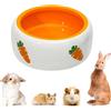 bangminda Ciotola in Ceramica Carrot Ciotole per Animali Domestici Ciotola dell'acqua Ciotola per Cibo per Conigli Riccio Criceti Porcellino D'India Furetto Gattino Cucciolo (Ciotola Rotonda)