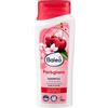 Générique Shampoo Color Gloss, 300 ml - Marchio DM Germany - Compatibile con balea - Shampoo Farbglanz, 300 ml