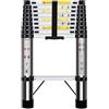HUIYOPU Scala telescopica da 2,9 m, in Acciaio inossidabile, carico massimo 150 kg, gradino regolabile, utilizzato per manutenzione quotidiana, edifici