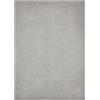 andiamo Tappeto San Paolo moderno e elegante a pelo lungo, per soggiorno, camera da letto, 100% poliestere, altezza pelo ca. 27 mm, adatto per riscaldamento a pavimento, 60 x 130 cm, grigio