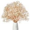 Gipizi Gypsophila Essiccata, oltre 3000 boccioli di fiori in 100% Bianco Naturale Gypsophila Fiori Secchi per Veilweed per Matrimonio, Decorazione della casa, fai da te e partito