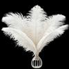 AOOTE Grandi Naturale Piume, 12 Pezzi Piuma di Struzzo Naturale, 25-30cm Piume Decorative, per Matrimoni, Lavori Artigianali, Abbigliamento, Decorazioni Natalizie, Feste a Tema, Personaggi, Bianco