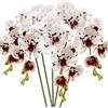 HinyoCo 5 Pz Fiori Orchidea Finta Ramo Artificiali Phalaenopsis Fiori Orchidea per Casa Decorazione (Bianco con macchie)