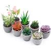 Zyluniy Piante Artificiali, 8Pcs Finte Succulente in Vaso, Set Piante Artificiali, Piante Grasse Artificiali per Tavolo, Bagno, Ufficio e Balcone, Piante Decorative Artificiale con Vaso