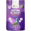 Energy Feelings F Energy Feelings Proteine di Piselli in Polvere BIO 1 Kg / 82% Proteine Vegetali/Proteine Vegane Massa Muscolare e Dimagrire/Senza Zuccheri Aggiunti, Lattosio né Glutine
