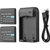 Lechnical NP-40 - Caricabatterie con indicatore LED + 2 batterie NP-40 da 3,7 V 800 mAh con cavo di ricarica USB