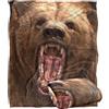 LOGOVISION Jq Licensing - Royce Mcclure Grizzly Bear Head Coperta super morbida al tatto setoso - 152 x 127 cm