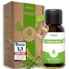 DasXgut - Olio di rosmarino per capelli 30 ml - Certificato BIO [ad alto dosaggio] - Stimola la crescita dei capelli - Olio per capelli per la caduta dei capelli - Oli essenziali - 100% puro dalla