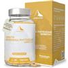 AlpsNature ALPS NATURE Berberine Fitosomada Berbevis® 600 mg - 60 Capsule per 60 giorni - Berberina Liposomiale Pura - Berberina ad Alta Biodisponibilità con Tecnologia Fitosomiale Brevettata - Senza Glutine