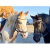 Smartbox In sella con gusto a Pietra Ligure: una passeggiata a cavallo di 1h e grigliata per 2