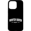 Winter Haven Florida Original Vintage Re Custodia per iPhone 15 Pro Max Nome originale Winter Haven Florida Retro Hometown