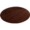Wambere Tappeto rotondo in velluto corallo, tappeto antiscivolo lavabile per cani, tappeto per camera da letto, tappeto per ingresso, soffione da doccia, tappetino per camera da letto, soggiorno, caffè, 40 cm