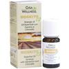 Gisa MOSKITO SINERGIA OLIO ESSENZIALE DIFFUSIONE 10 ML
