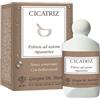 Giorgini Cicatriz Polvere Cicatrizzante Corpo 10 G