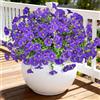 TINA Fiori artificiali come veri, 8 mazzi di fiori artificiali, piante da balcone per esterni, resistenti alle intemperie, finti bouquet, resistente ai raggi UV, decorazione primaverile, decorazione