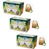 Apicoltura Brezzo Sweet Herbs® | Tisana Pino Mugo Eucalipto Timo Menta | Infuso Biologico Calmante e Rinfrescante - 3 x 20 Filtri in Singole Bustine (60 Gr)