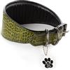 FAVPET Collare in Morbida Pelle per Levrieri con ID Tag QR per Whippet Italian Greyhound Saluki Borzoi Lurcher Galgo Spagnolo Azawak Afghan Hound, Collare per Cane in Pelle Artigianale (Verde, XS)