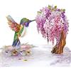 CUT POPUP.COM CUTPOPUP Glicine Colibrì - Biglietto Auguri Compleanno, Biglietto Festa Della Mamma, Biglietto Auguri, Pop Up, Biglietto Anniversario (Wisteria) US8-AN162IT
