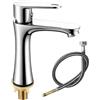 HOSPAOP Rubinetto per acqua fredda in acciaio inox con tubo di collegamento da 80 cm, rubinetto per acqua fredda, per bagno, ospiti, WC