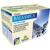HEALTION Srl SOCIETA BENEFIT TISANA BALSAMICA 20G
