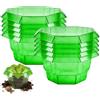 Behogan 10 collari per lumache: 23 cm anelli di protezione per lumache, protezione lumache, recinti verdi, colletti per lumache, collari di plastica, lattuga e cavoli