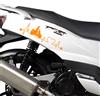 Kit 2 adesivi Passione compatibili con PEUGEOT TWEET 125 scegli colore cod. 2033