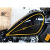 Adesivo serbatoio compatibile Kawasaki 454 LTD ANNO 1990 scegli colore Cod.1768