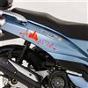 Kit 2 adesivi Passione compatibili con PEUGEOT TWEET 125 scegli colore cod. 2033