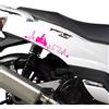 Kit 2 adesivi Passione compatibili con PEUGEOT TWEET 125 scegli colore cod. 2033