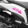 Kit 2 adesivi Evoluzione compatibili con KYMCO People 125i scegli colore cod2029