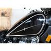 Adesivo serbatoio compatibile Kawasaki 454 LTD ANNO 1990 scegli colore Cod.1768