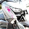 Kit 2 adesivi Passione compatibili con YAMAHA X-MAX 300 scegli colore cod. 2039