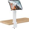 AboveTEK iPad Desk Stand, un supporto per tablet regolabile e antifurto con rotazione di 360° e inclinazione di 180°, si adatta a tablet da 9,7 a 13 ed è perfetto per il lavoro-Argento