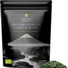 Amazonian Treasure Tè Guayusa in foglie sfuse biologiche 473,6 g Delicato aumento di energia alternativa al caffè e Yerba Mate 60 mg di caffeina per porzione