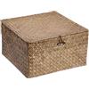 IGNPION Cesto portaoggetti in vimini intrecciato con coperchio, rettangolare, per bagno, soggiorno, decorativo, cestino multiuso (33 x 33 x 18 cm)
