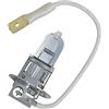 cyclingcolors Lampadina, PL22S, 12V, 35W