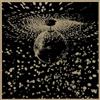 Warner Records Mirror Ball