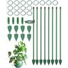 Acual Porta Piante da Interno, 8 Pezzi Supporto per Piante Regolabile da 30 cm, con Fibbie e Connettori, Sostegno per Rampicanti, Giardinaggio, per Monstera, Orchidee e Rose, Verde
