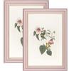 YoHyien Set di 2 Cornici Foto Vintage 20x30 cm, Cornici Portafoto Shabby Chic da Parete e Tavola, Quadro Portafoto Decorative da Appendere Al Muro, Orizzontale e Verticale (Rosa, 20 x 30 cm)