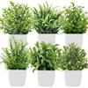 Roqueen 6 Pezzi Piccolo Piante Artificiali con Vaso, Plastica Mini Pianta Finta per Tabella Mensola Bagno Ufficio Home Decorazione