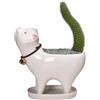 Yizzwtc Vasi a Forma di Gatto, Vasi Ceramica per Piante, Piccolo Fioriera in Ceramica da Interno vaso per Piante Succulente per Fiori, Piante Grasse, Cactus, Decorazione della Casa (Bianco)