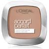 L'Oréal Paris True Match Accord Parfait 9 g